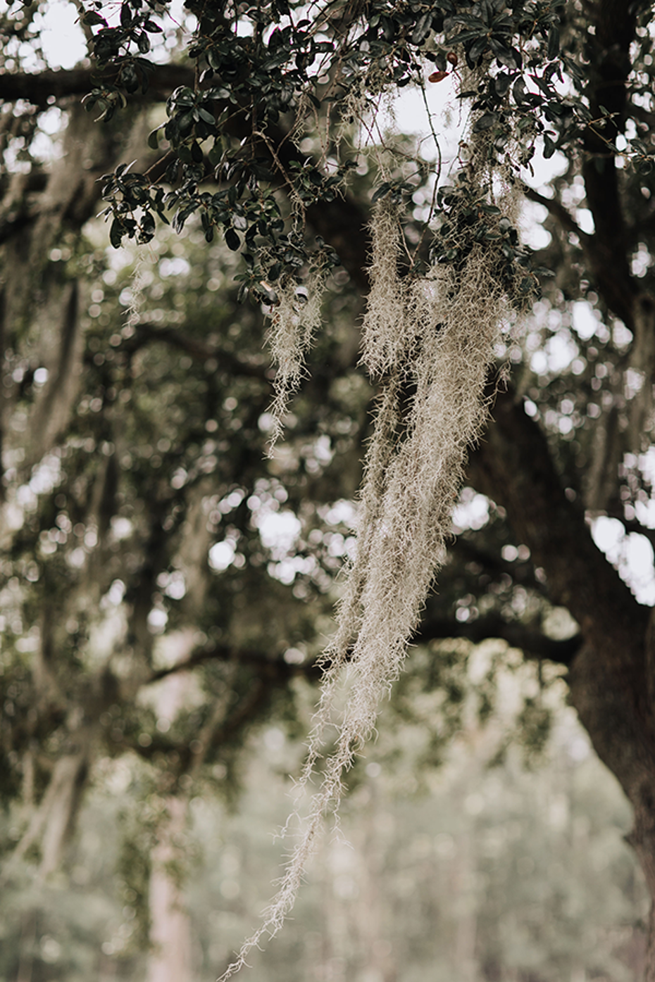 Image 05